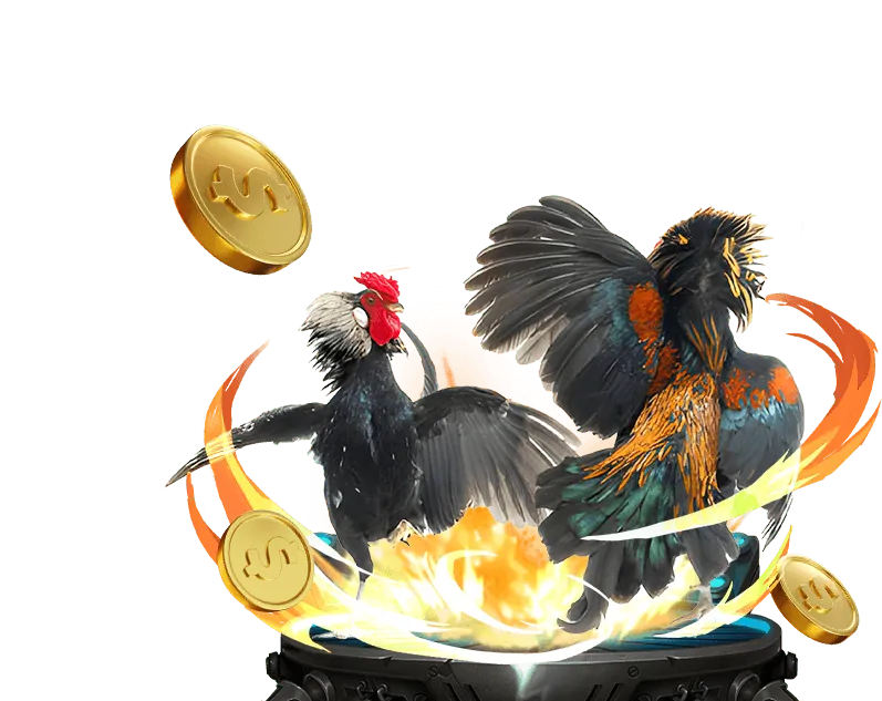 Lợi ích khi chọn Win2026VN